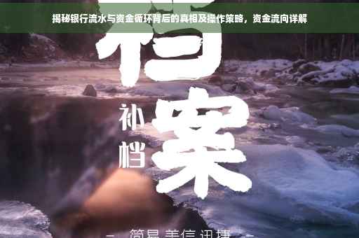 揭秘银行流水与资金循环背后的真相及操作策略，资金流向详解