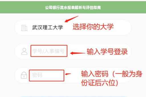 公司银行流水报表解析与评估指南