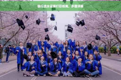银行流水证据打印指南，步骤详解