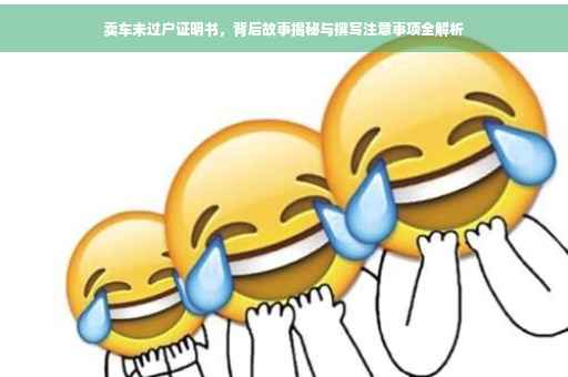 卖车未过户证明书，背后故事揭秘与撰写注意事项全解析