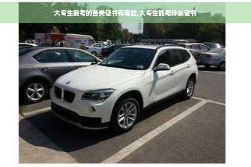 大专生能考的各类证书有哪些,大专生能考什么证书