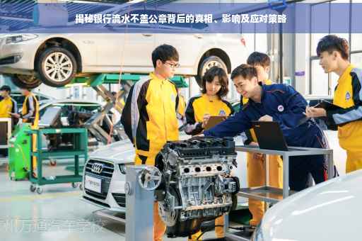 揭秘银行流水不盖公章背后的真相、影响及应对策略