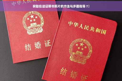 获取在读证明书照片的方法与步骤指导 ?✨