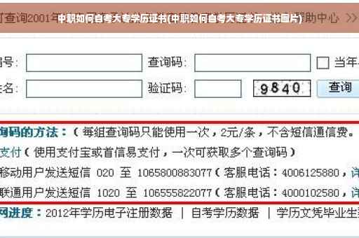 中职如何自考大专学历证书(中职如何自考大专学历证书图片)