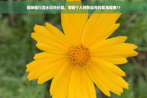 揭秘银行流水日均计算，掌握个人财务动向的精准指南??