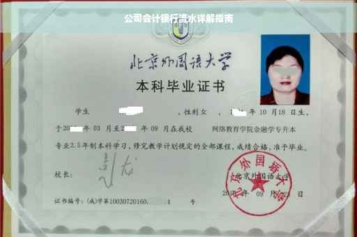 公司会计银行流水详解指南