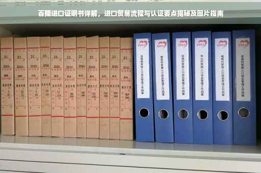 百隆进口证明书详解，进口贸易流程与认证要点揭秘及图片指南