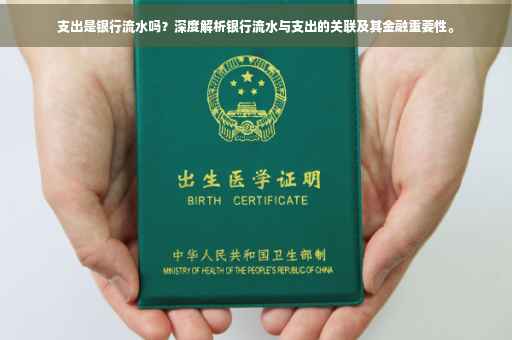 支出是银行流水吗？深度解析银行流水与支出的关联及其金融重要性。