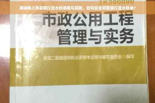 揭秘网上购买银行流水的真相与风险，如何安全获取银行流水账单？