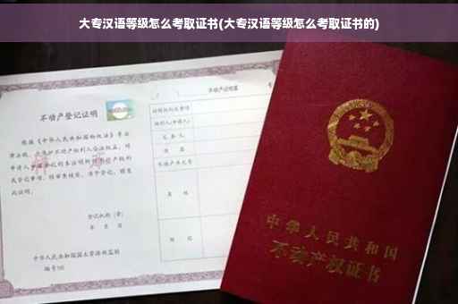 大专汉语等级怎么考取证书(大专汉语等级怎么考取证书的)