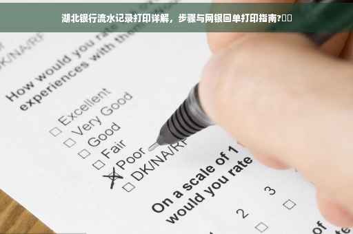 湖北银行流水记录打印详解，步骤与网银回单打印指南?⚡️