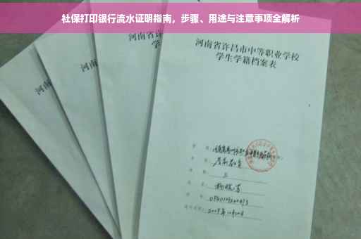 社保打印银行流水证明指南，步骤、用途与注意事项全解析
