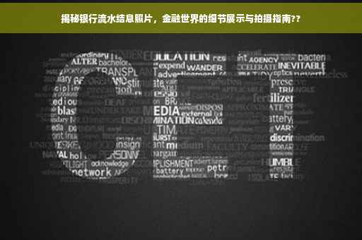 揭秘银行流水结息照片，金融世界的细节展示与拍摄指南??