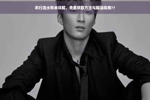 农行流水账单详解，免费获取方法与解读指南??