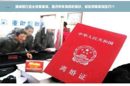 揭秘银行流水侦查查询，揭开财务真相的面纱，轻松掌握查询技巧??