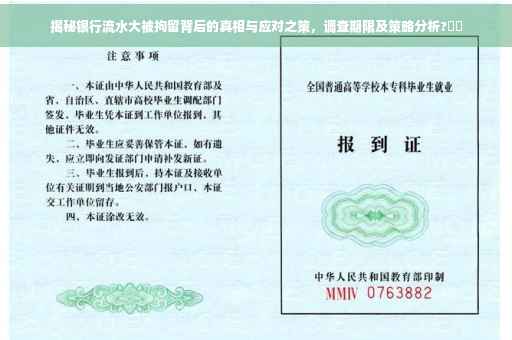 揭秘银行流水大被拘留背后的真相与应对之策，调查期限及策略分析?⚡️