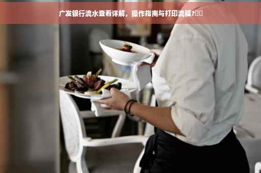 广发银行流水查看详解，操作指南与打印流程?⚡️