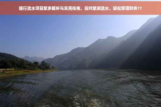 银行流水项目繁多解析与实用指南，应对繁琐流水，轻松管理财务??