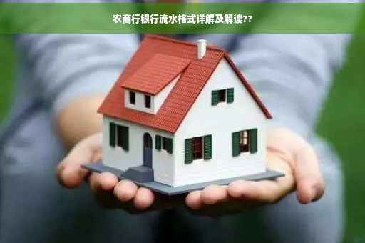 农商行银行流水格式详解及解读??