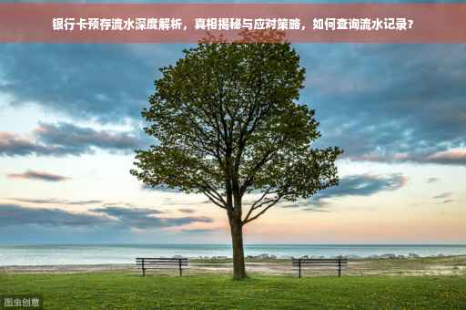 银行卡预存流水深度解析，真相揭秘与应对策略，如何查询流水记录？