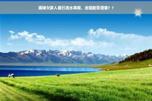 揭秘欠款人银行流水真相，法院能否调查？?