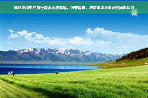理赔过程中的银行流水要求详解，细节解析、应对建议及必要性问题探讨