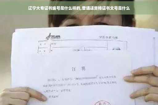 辽宁大专证书编号是什么样的,普通话资格证书文号是什么