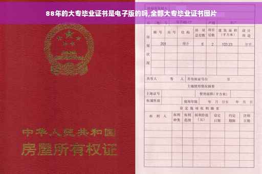88年的大专毕业证书是电子版的吗,全部大专毕业证书图片