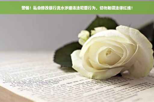 警惕！私自修改银行流水涉嫌违法犯罪行为，切勿触碰法律红线！