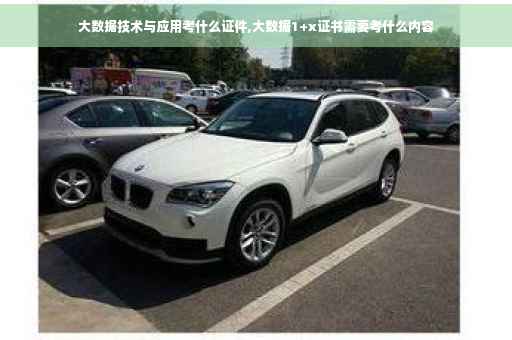 大数据技术与应用考什么证件,大数据1+x证书需要考什么内容
