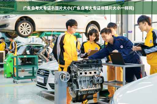 广东自考大专证书图片大小(广东自考大专证书图片大小一样吗)
