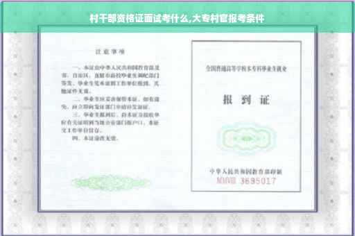 村干部资格证面试考什么,大专村官报考条件