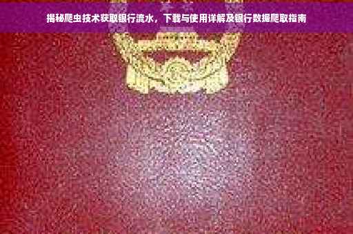 揭秘爬虫技术获取银行流水，下载与使用详解及银行数据爬取指南