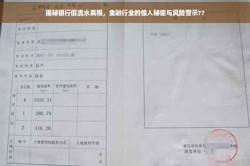 揭秘银行假流水真相，金融行业的惊人秘密与风险警示??