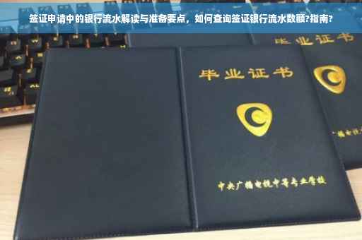 签证申请中的银行流水解读与准备要点，如何查询签证银行流水数额?指南?