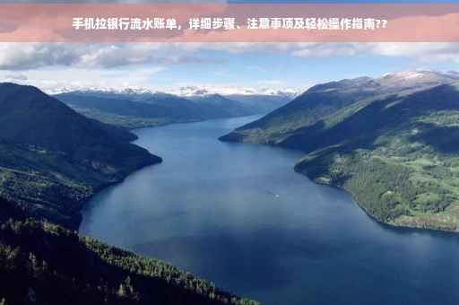 手机拉银行流水账单，详细步骤、注意事项及轻松操作指南??