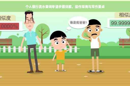 个人银行流水查询申请步骤详解，操作指南与写作要点