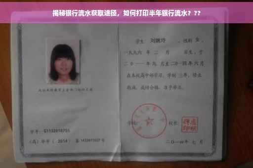 揭秘银行流水获取途径，如何打印半年银行流水？??