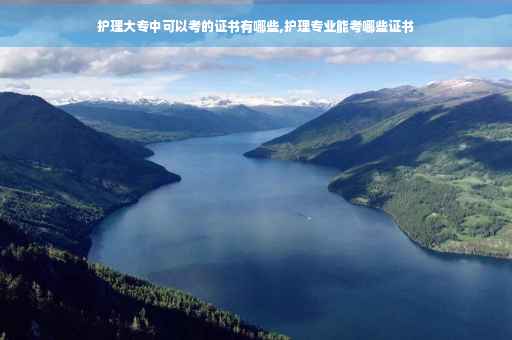 护理大专中可以考的证书有哪些,护理专业能考哪些证书