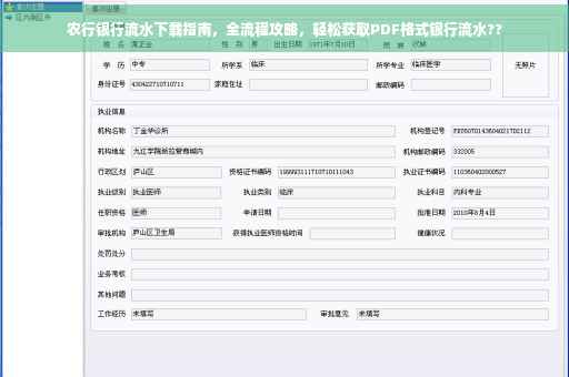 农行银行流水下载指南，全流程攻略，轻松获取PDF格式银行流水??