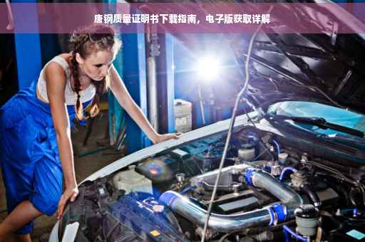 唐钢质量证明书下载指南，电子版获取详解