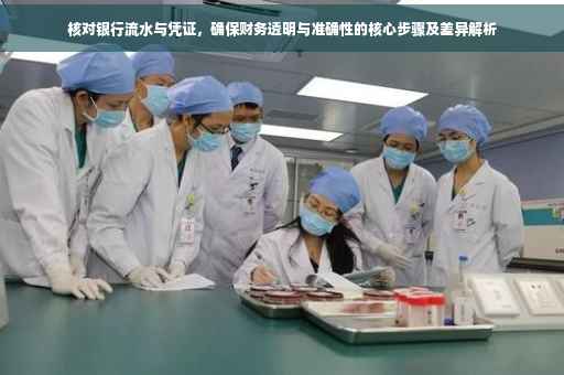 核对银行流水与凭证，确保财务透明与准确性的核心步骤及差异解析