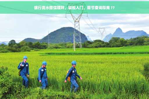 银行流水微信理财，轻松入门，细节查询指南 ??