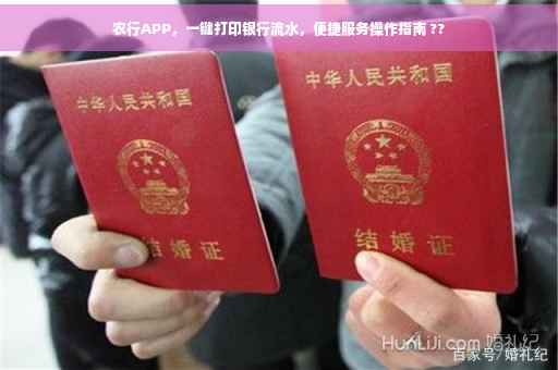 农行APP，一键打印银行流水，便捷服务操作指南 ??