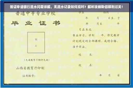 签证申请银行流水问题详解，无流水记录如何应对？解析攻略助你顺利过关！