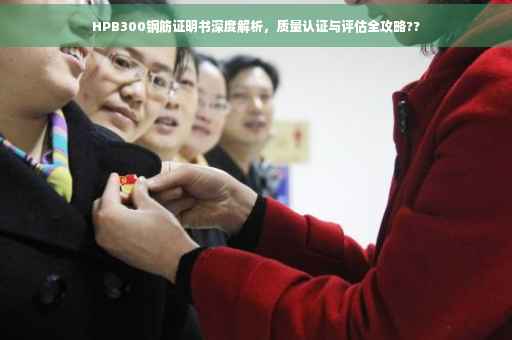 HPB300钢筋证明书深度解析，质量认证与评估全攻略??