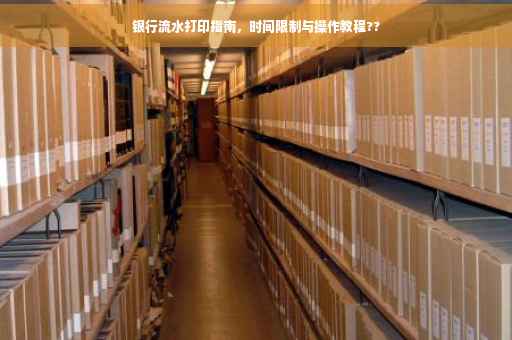 银行流水打印指南，时间限制与操作教程??