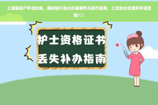 上海居转户申请攻略，揭秘银行流水的重要性与操作指南，工资流水核查及申请流程?⚡️
