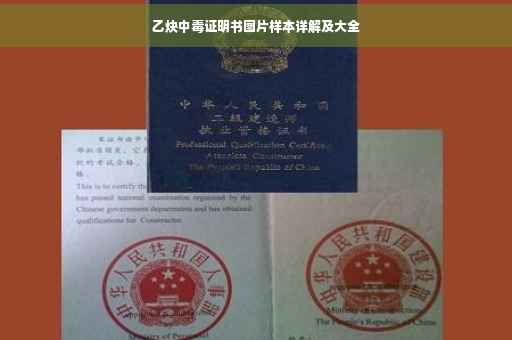 乙炔中毒证明书图片样本详解及大全