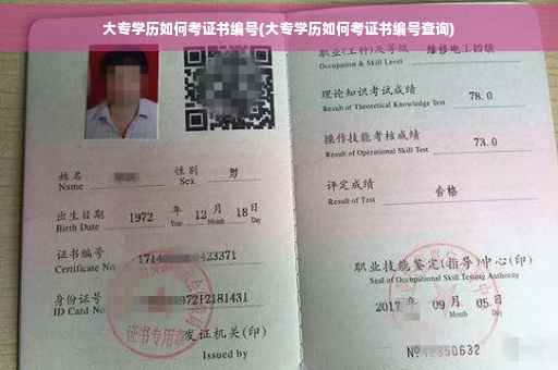 大专学历如何考证书编号(大专学历如何考证书编号查询)